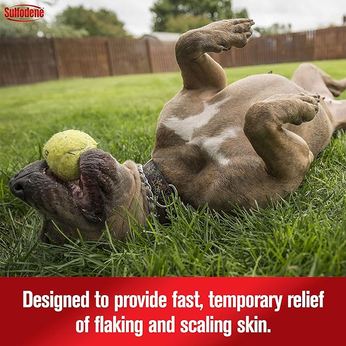 Sulfodene Medicated Shampoo & Conditioner for Dogs - Image 5
