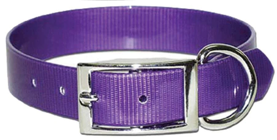 Sunglo Dog Collars - Image 21