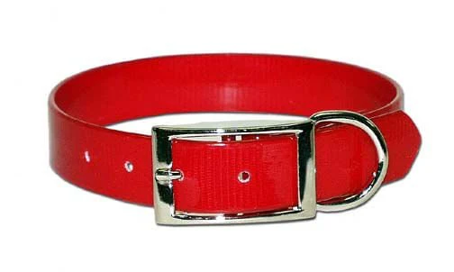 Sunglo Dog Collars - Image 25