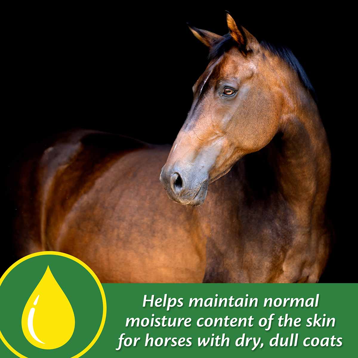 Super 14 Healthy Skin & Coat Horse Supplement - Image 5
