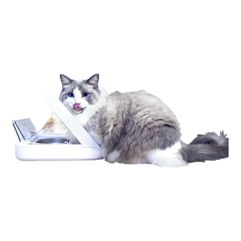 Sure Petcare Pet Feeder Connect – Smart Microchip & RFID Cat & Dog Feeder with App, Portion Control - Image 2