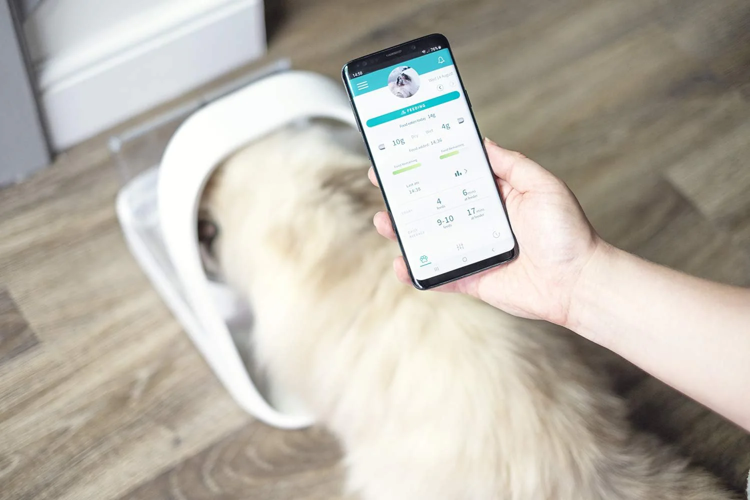 Sure Petcare Pet Feeder Connect – Smart Microchip & RFID Cat & Dog Feeder with App, Portion Control - Image 4
