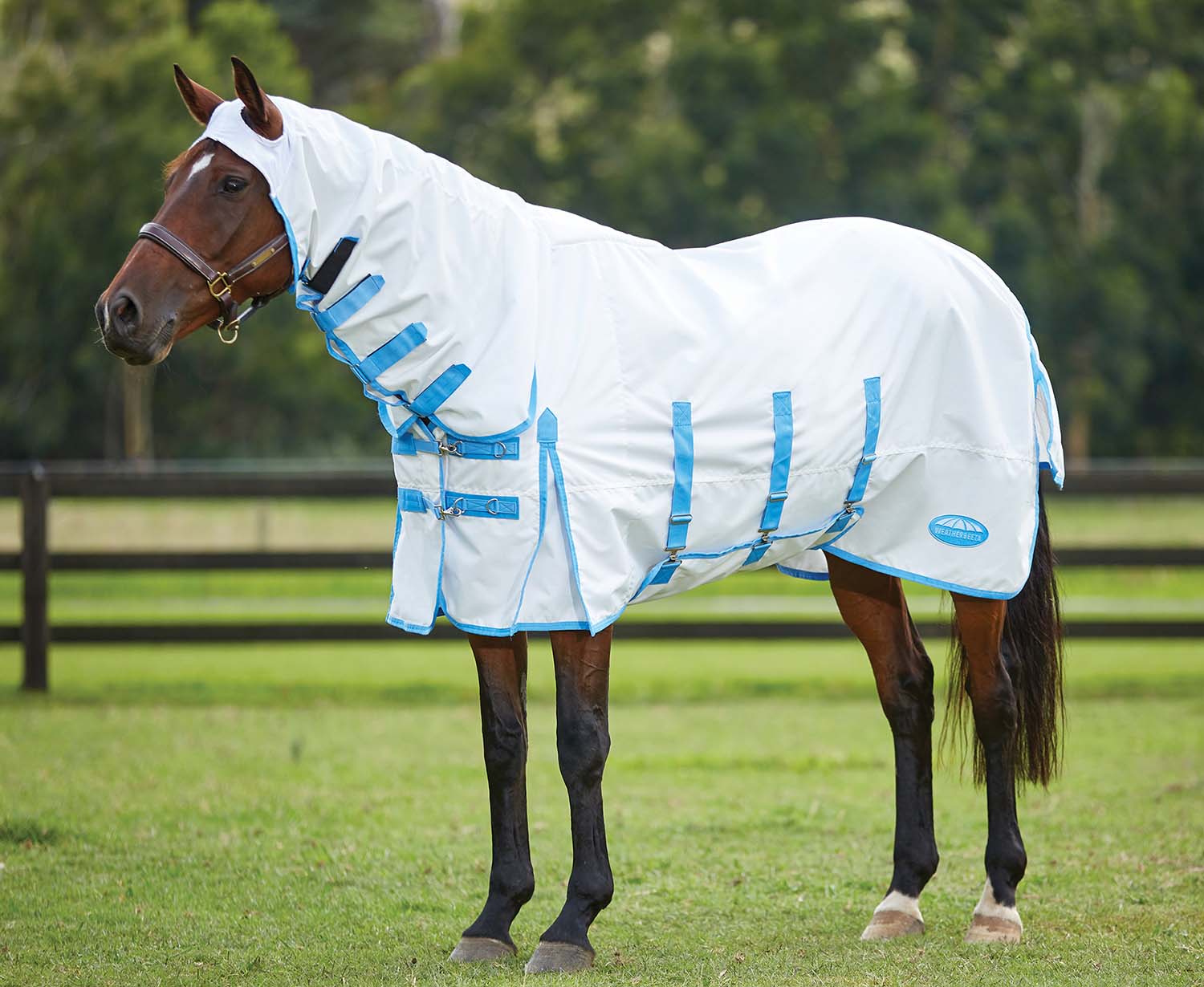 Sweet Itch Shield Combo Neck Horse Fly Sheet, White/Blue - Image 8