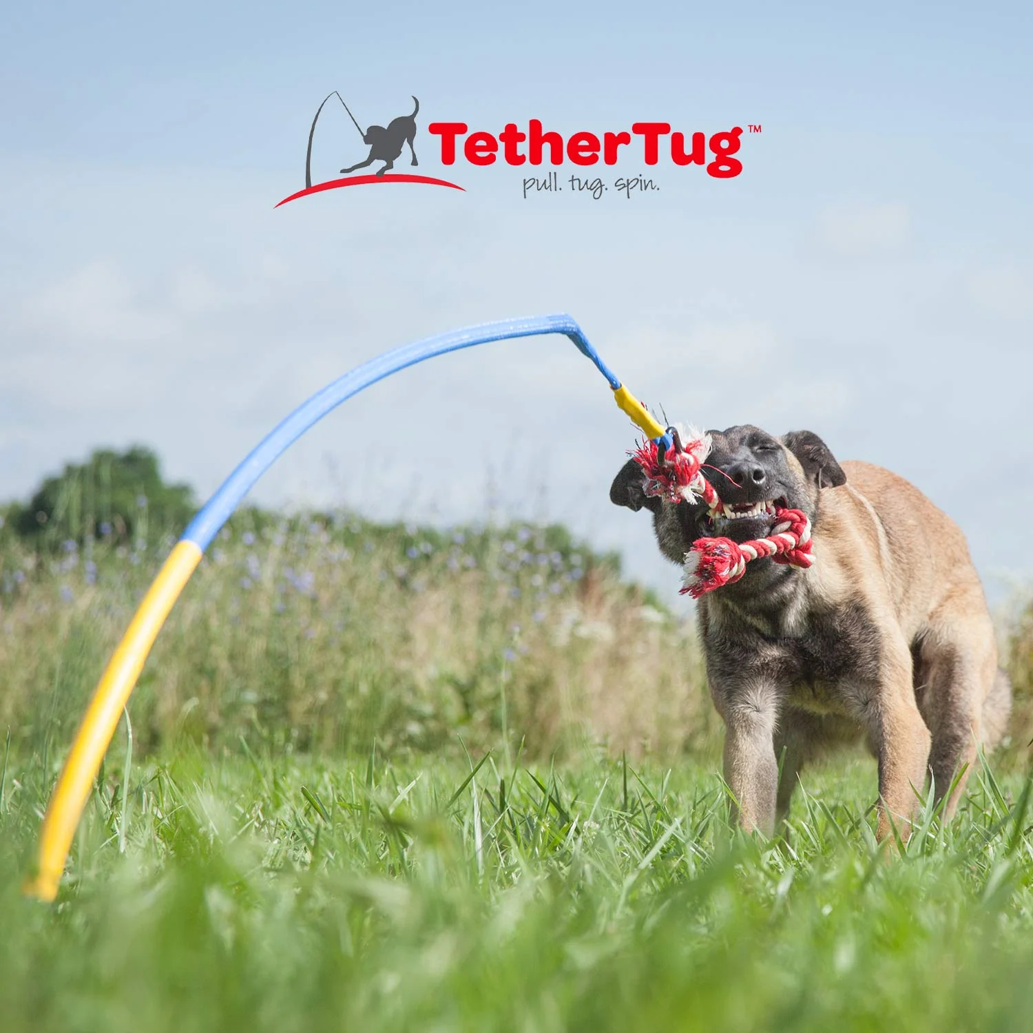 Tether Tug Dog Toy Kit with Base + Knotted Rope Toy - Image 2