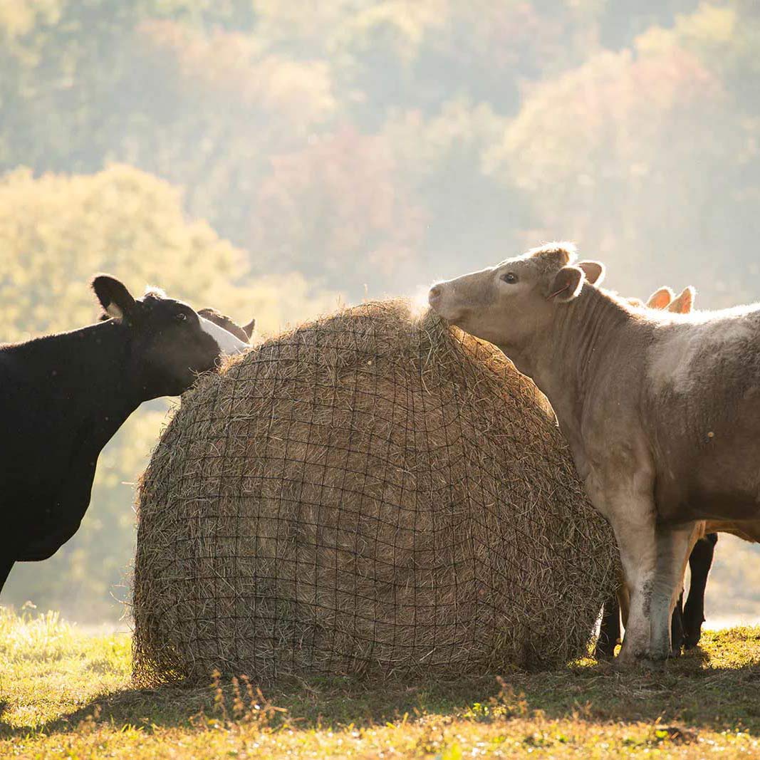 Texas Haynet Livestock Hay Bale Net for Round or Square Bales, 3" Holes - Image 4