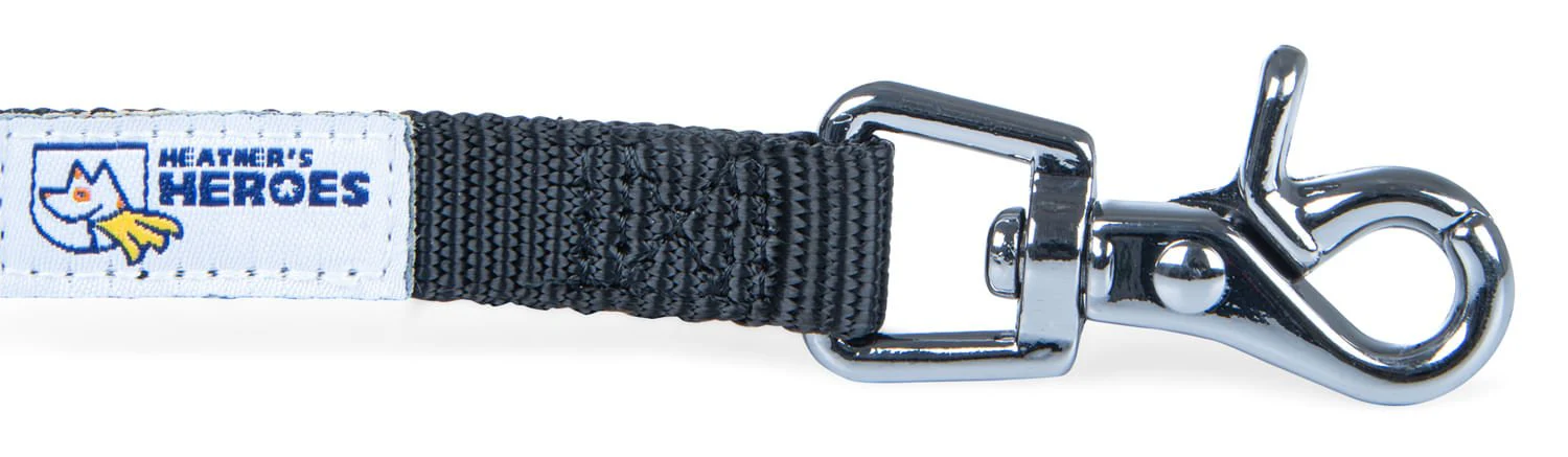 The Sidekick Dog Training Lead - Image 4