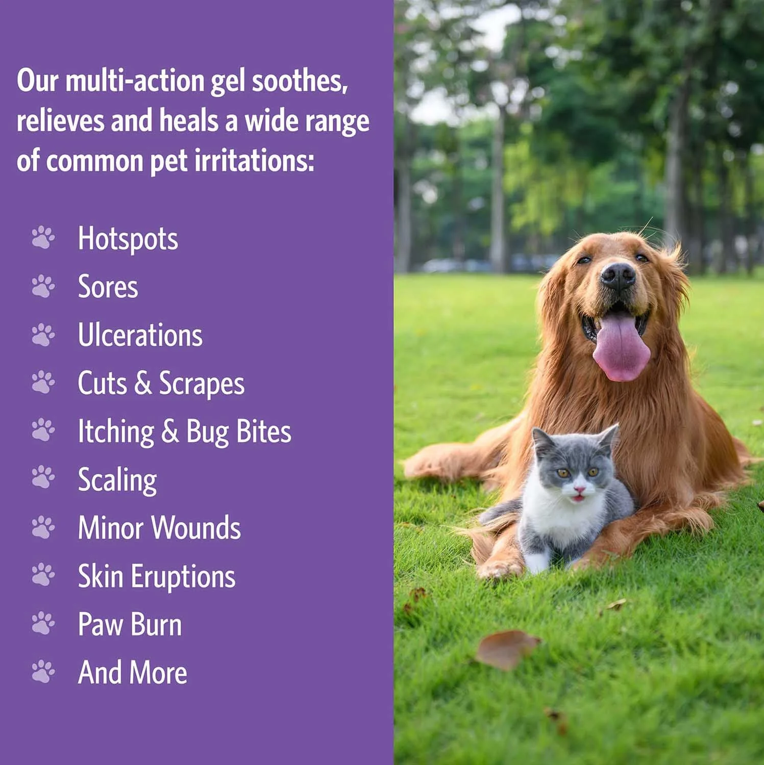 Topical First Aid Gel – Heals, Soothes, Reduces Itching for Dogs & Cats - Image 15