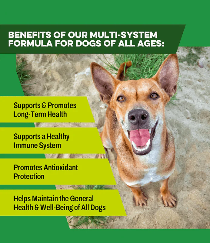 Total K9 Health Supplement for Dogs of All Ages - Image 9