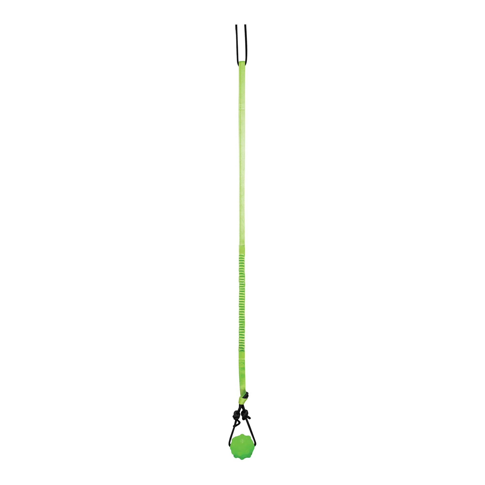 Jolly Pets Tree Tugger Interactive Bungee – Durable Tug-O-War & Solo Play Dog Toy for Heavy Chewers - Image 2