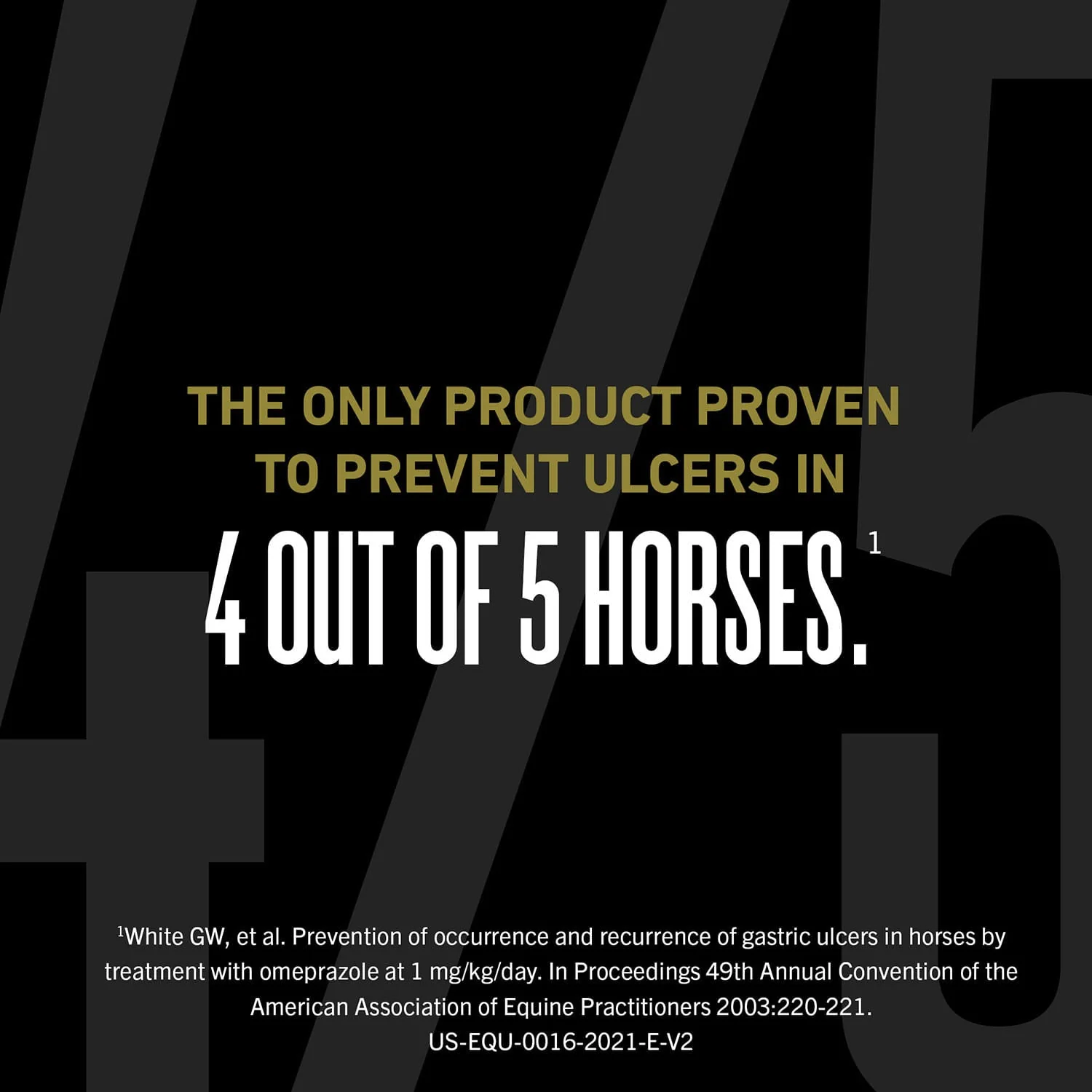 UlcerGard (omeprazole) Oral Paste Ulcer Treatment for Horses - Image 8
