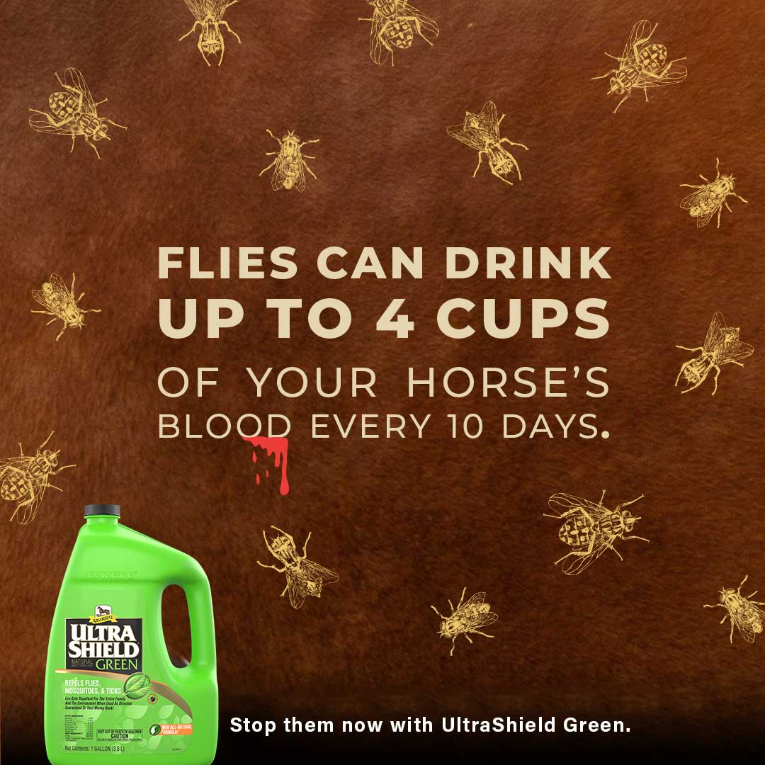 UltraShield Green Natural Fly Repellent - Image 15