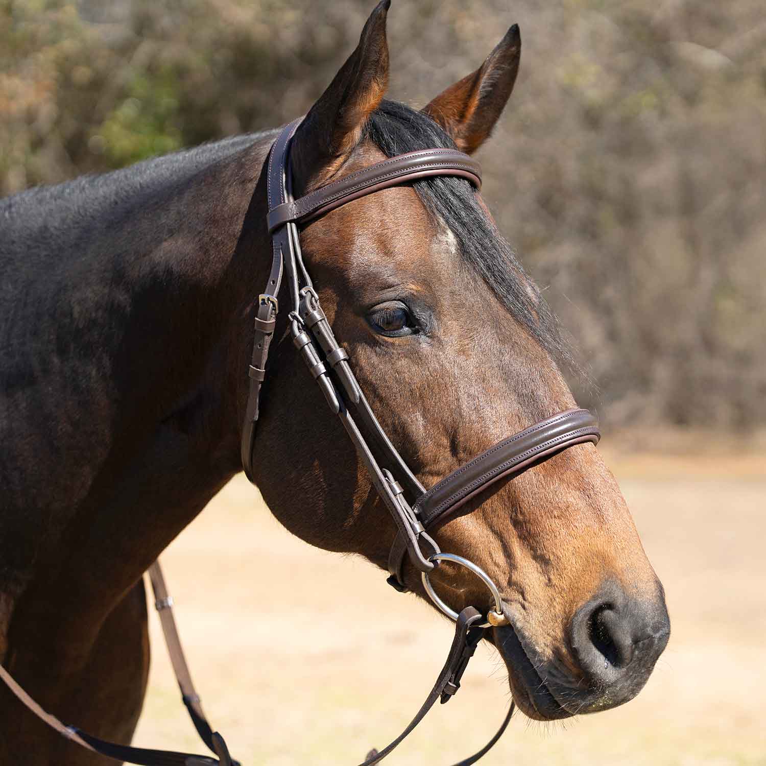Jeffers Uniquely English "Devon" Leather Snaffle Bridle with Reins for Horses - Image 4