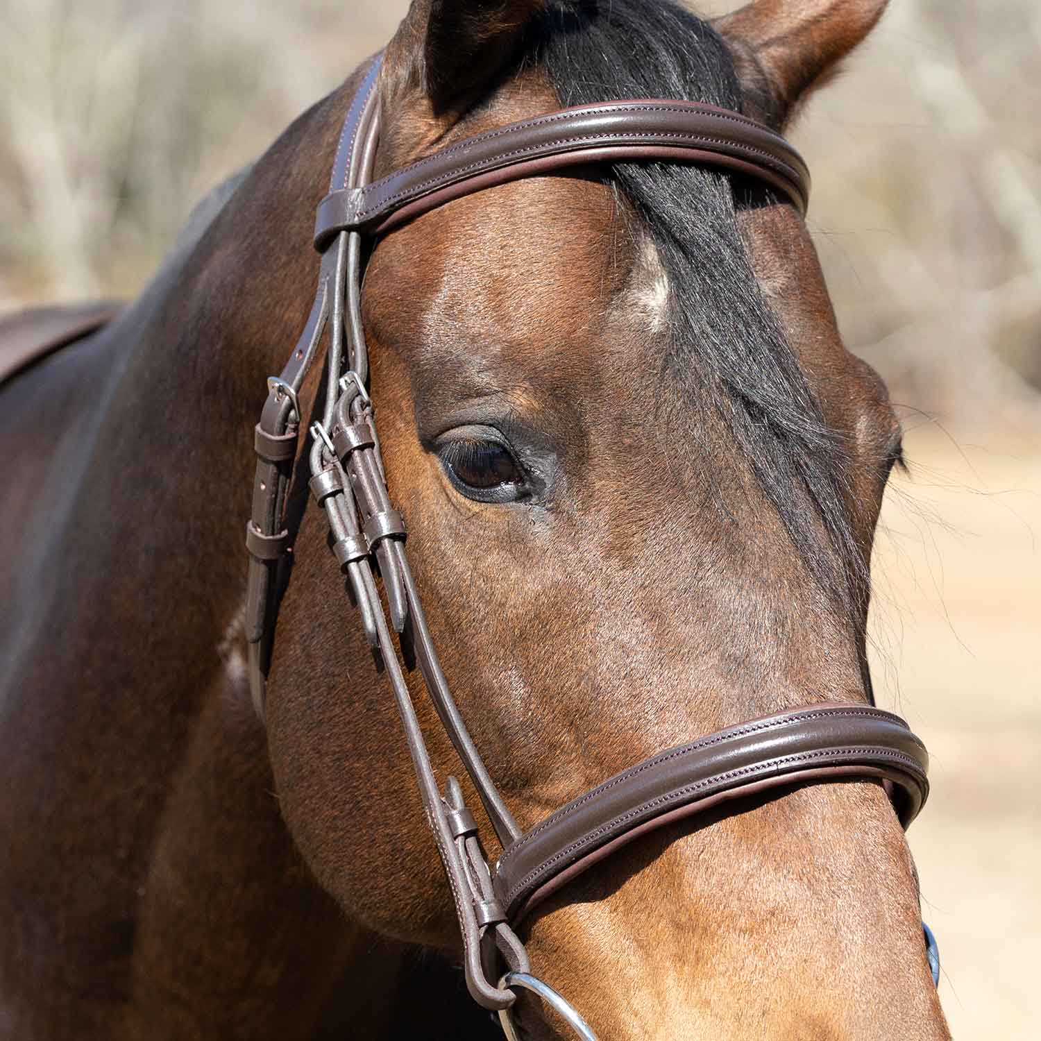 Jeffers Uniquely English "Devon" Leather Snaffle Bridle with Reins for Horses - Image 7