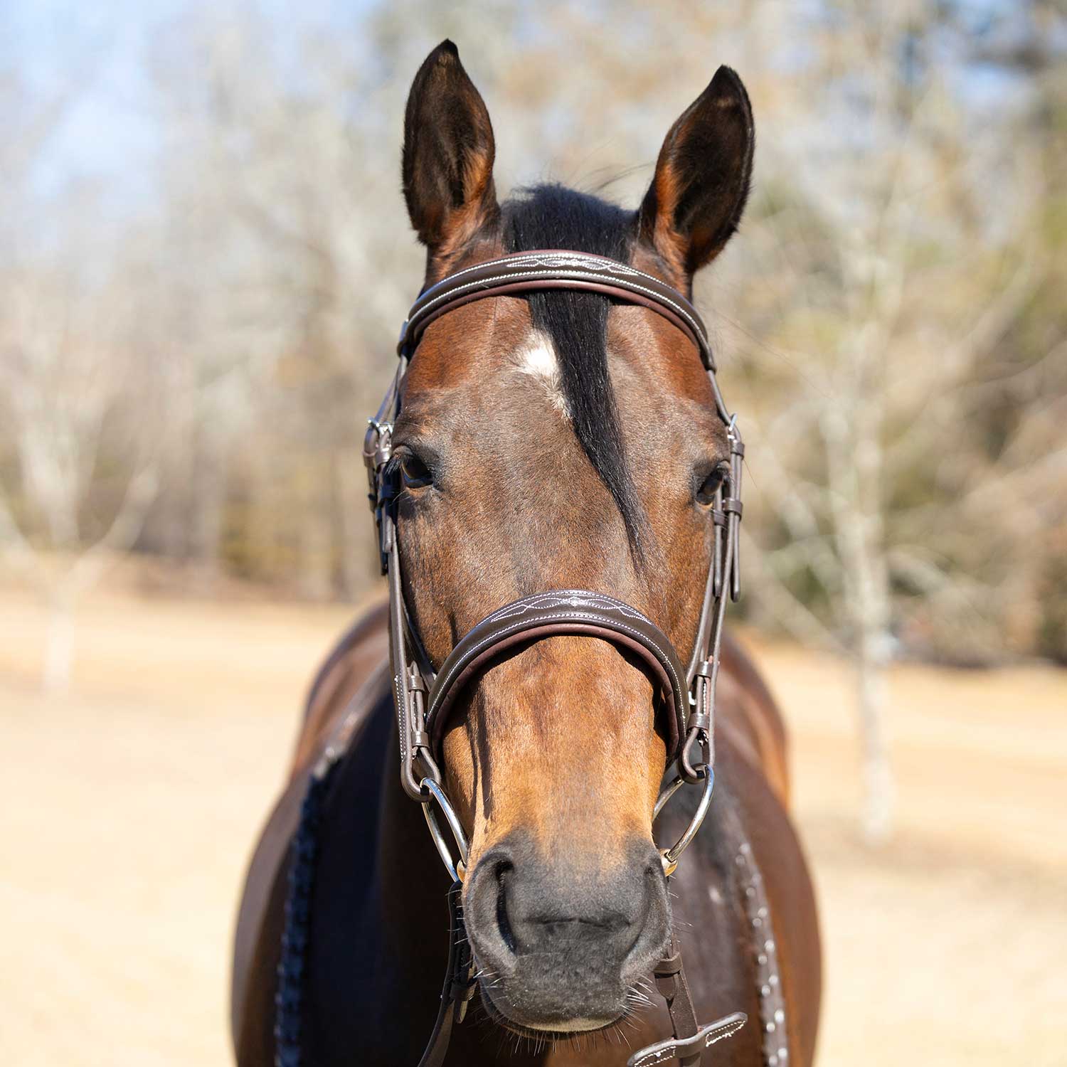 Jeffers Uniquely English "Hampton" Leather Hunter Bridle for Horses - Image 4