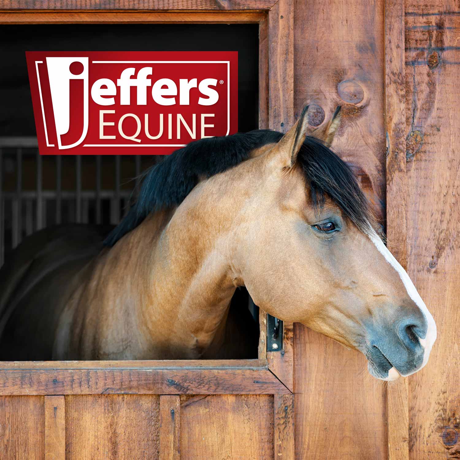 Jeffers Equine Dental Speculum - Image 8