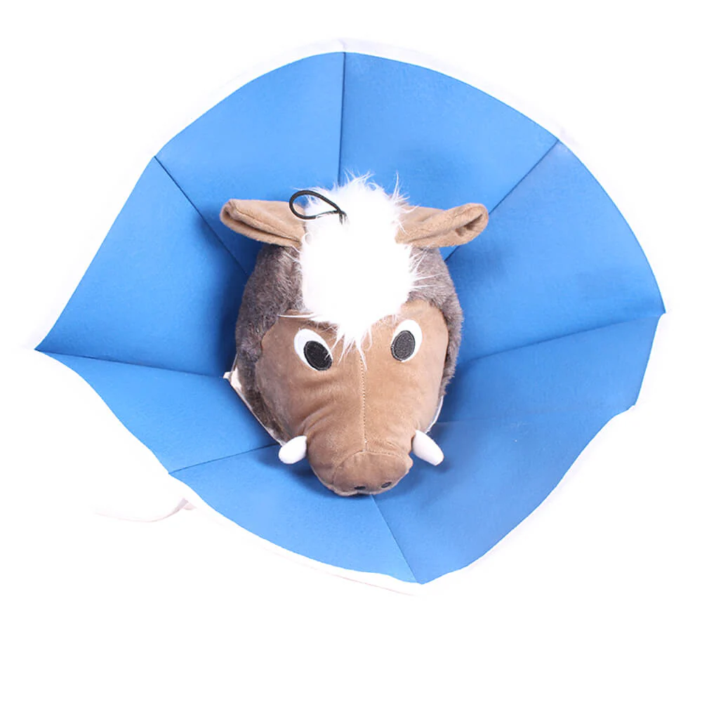 Vet Recovery Collar - Image 4