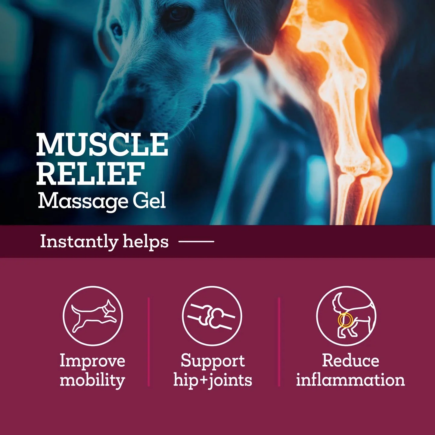 Vetality Muscle Relief Massage Gel for Dogs – Soothe Sore Muscles & Joints, Improve Mobility - Image 3