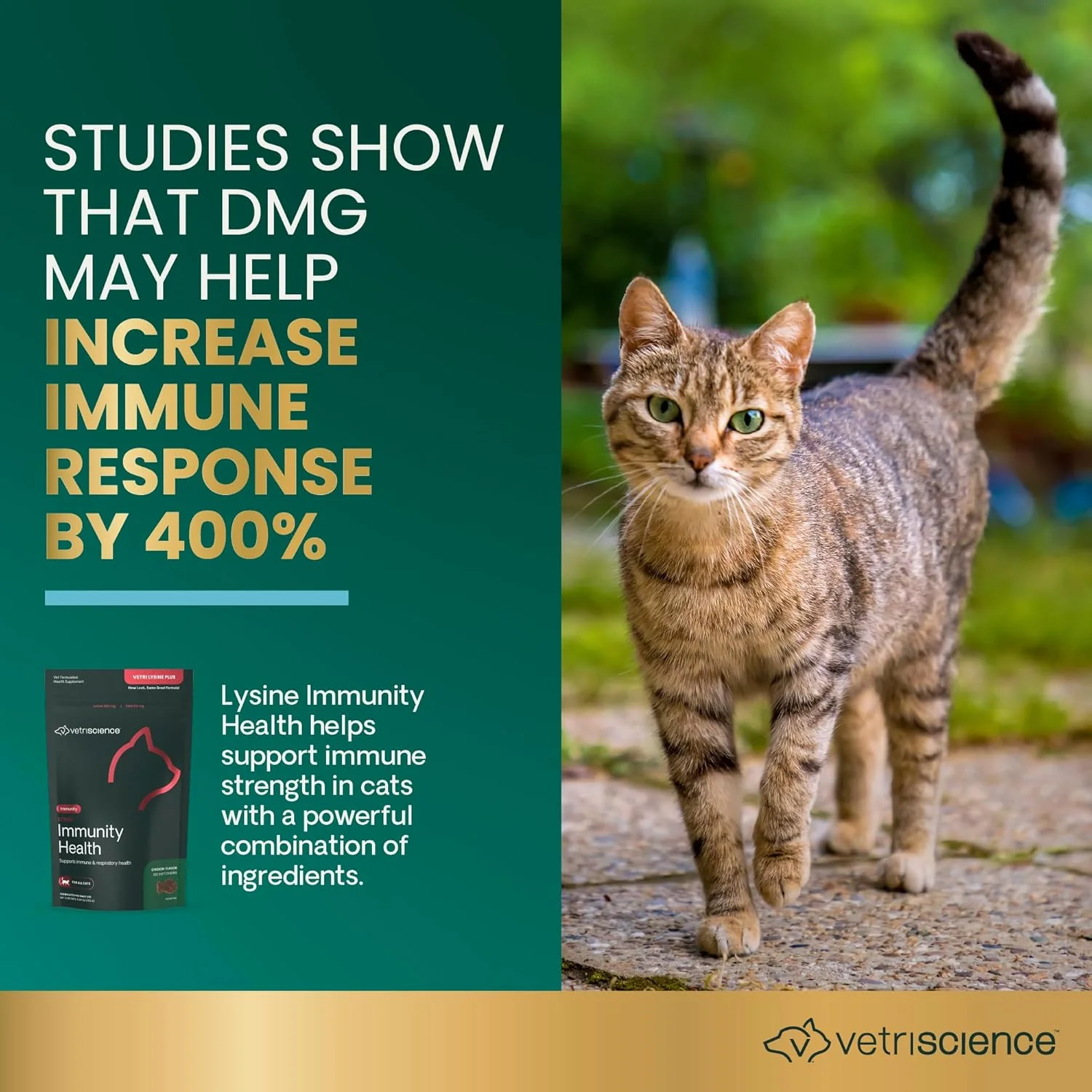 Vetri Lysine Plus for Cats, 120 Bite-Sized Chews - Image 3