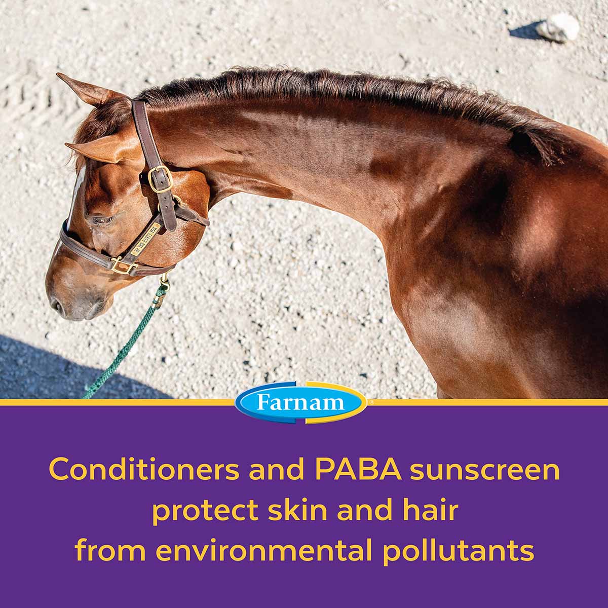 Vetrolin Bath Conditioning Shampoo for Dogs & Horses - Image 6