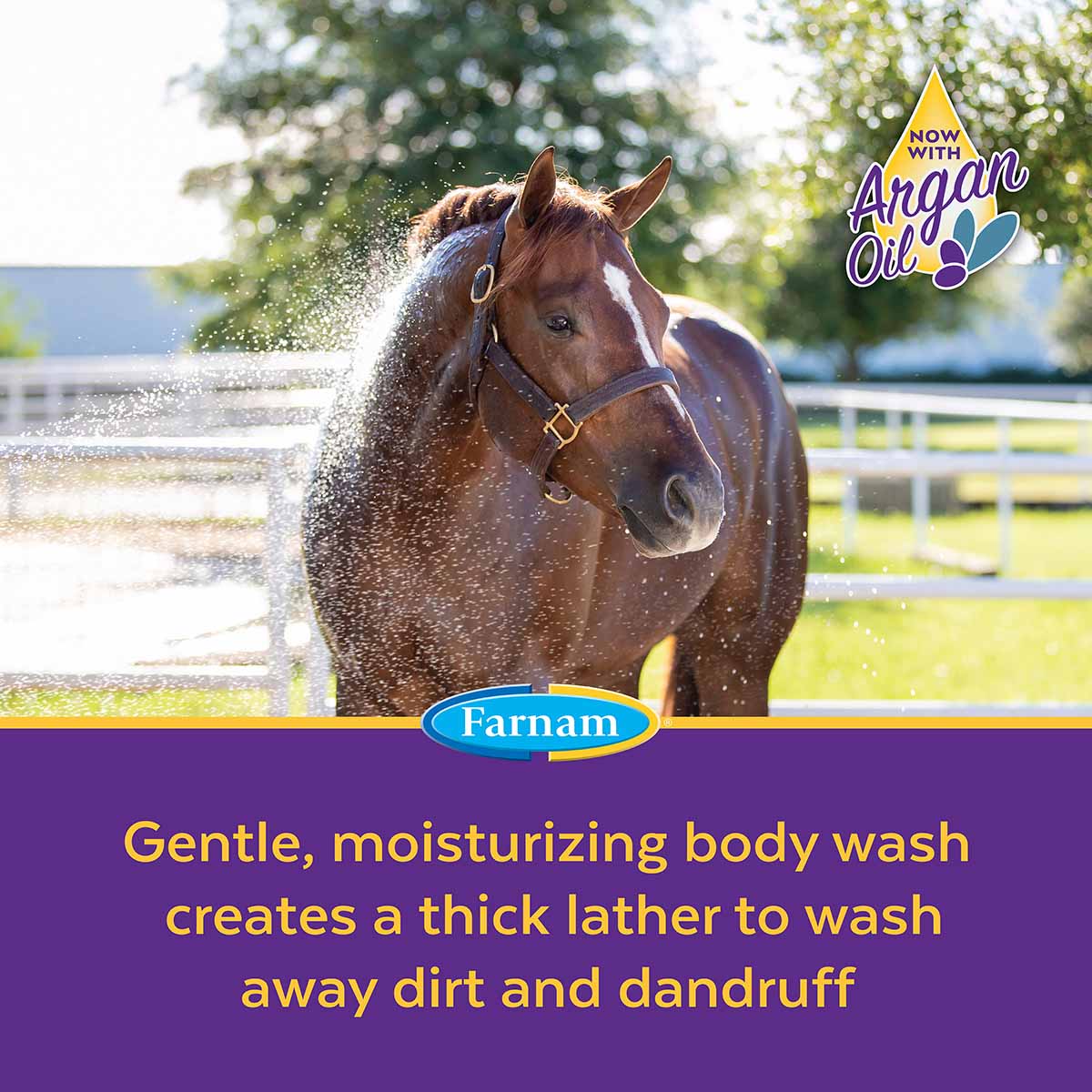 Vetrolin Body Wash for Horses, 32 oz - Image 4
