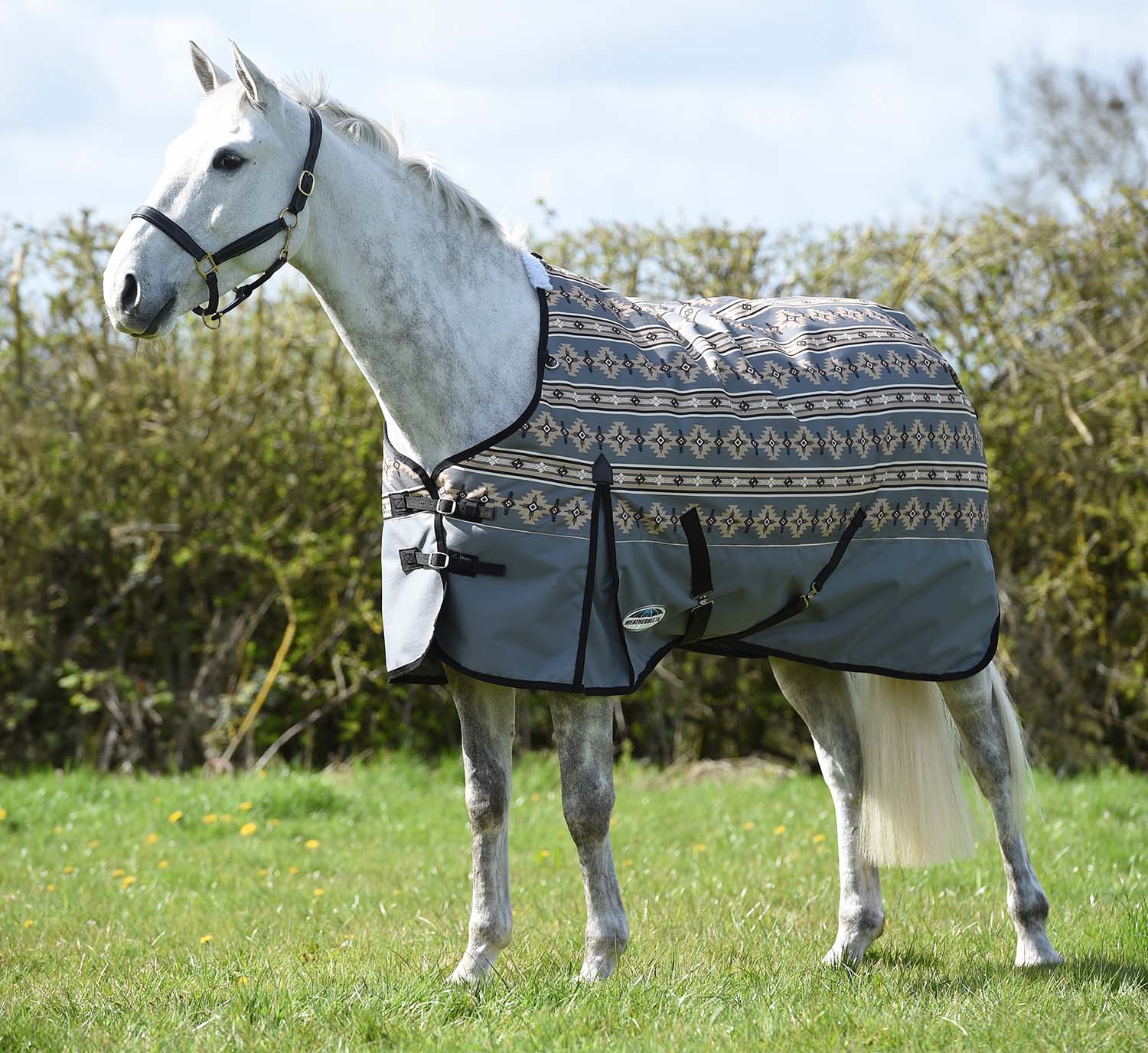 WeatherBeeta ComFiTec Essential 1200D Medium Weight Standard Neck Turnout Blanket for Horses - Image 2