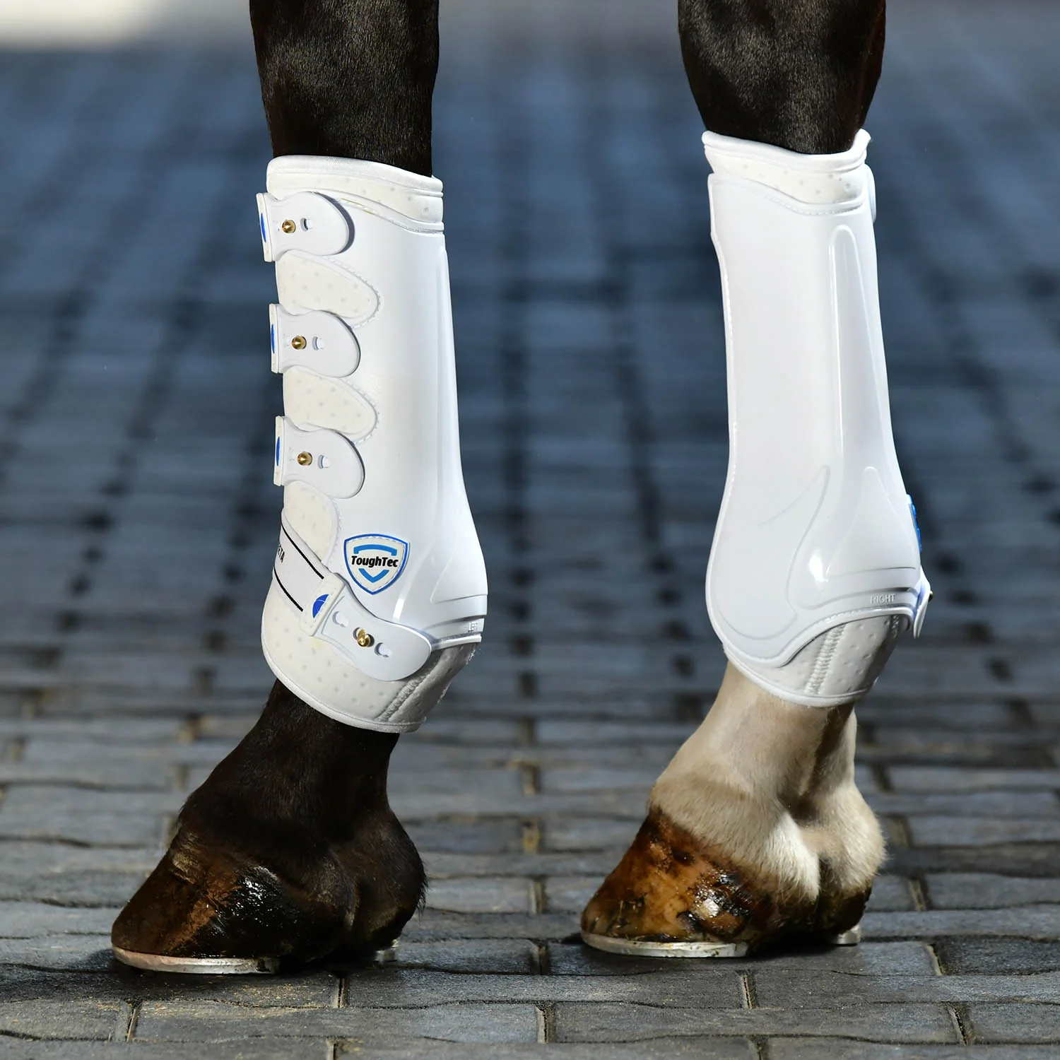 WeatherBeeta Tough-Tec Hard Shell Dressage Boots for Horses - Image 11