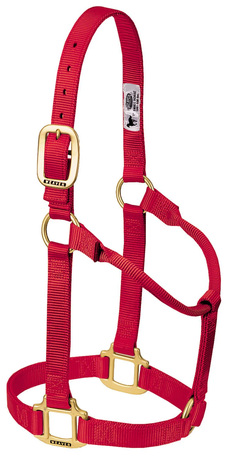 Weaver Original Nylon Horse Halter - Image 4