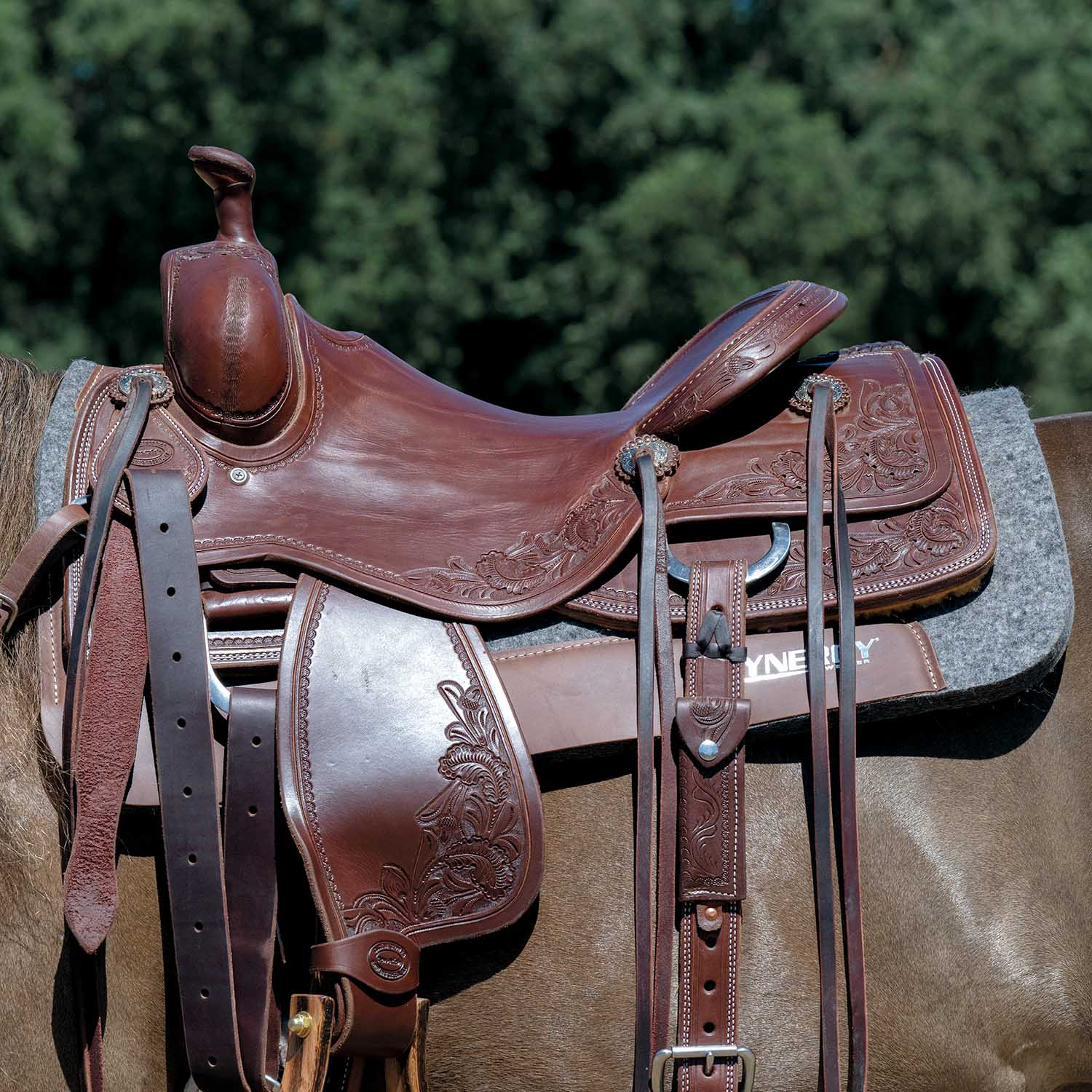 Weaver Synergy Contoured Steam Pressed 100% Merino Wool Felt Performance Saddle Pad - Image 10