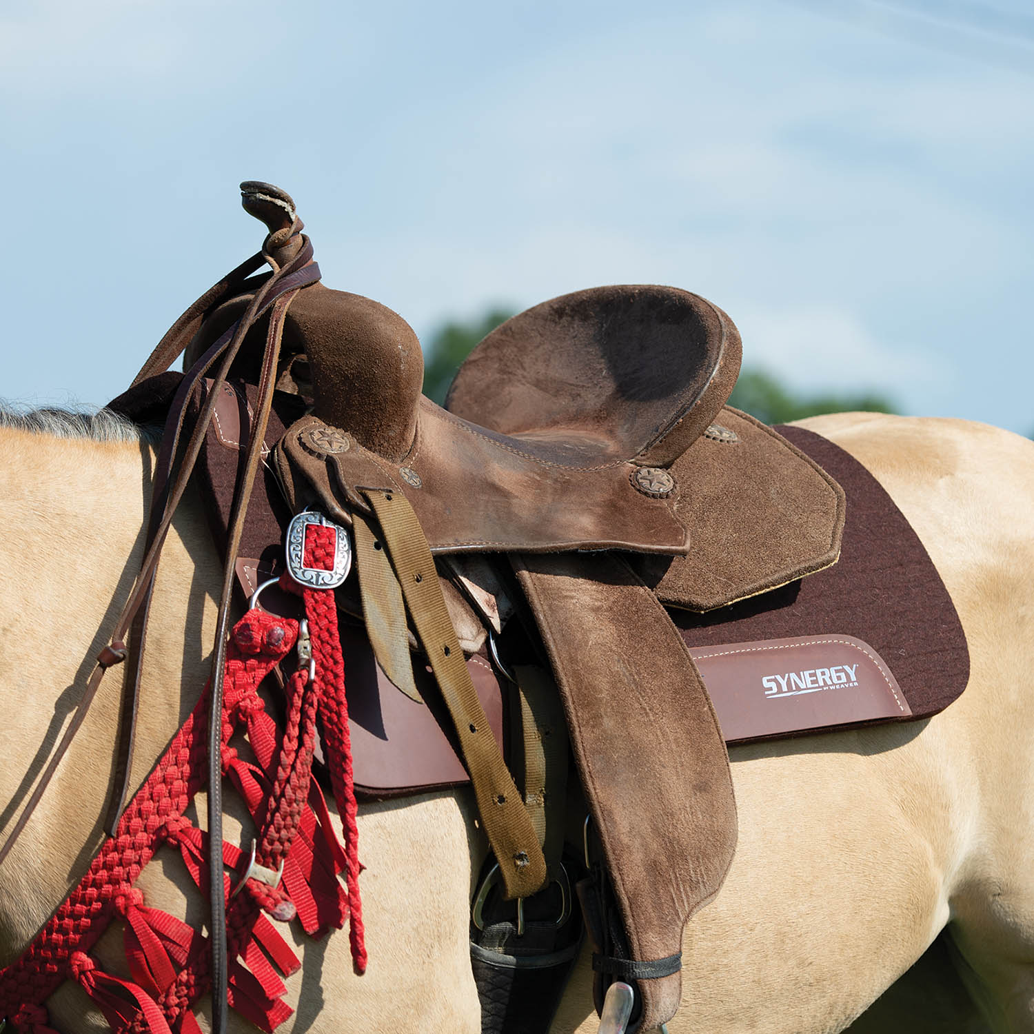 Weaver Synergy Contoured Steam Pressed 100% Merino Wool Felt Performance Saddle Pad - Image 2