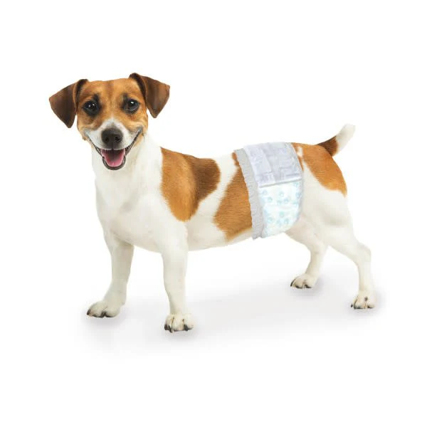 Wee-Wee Disposable Male Dog Wraps - Image 8