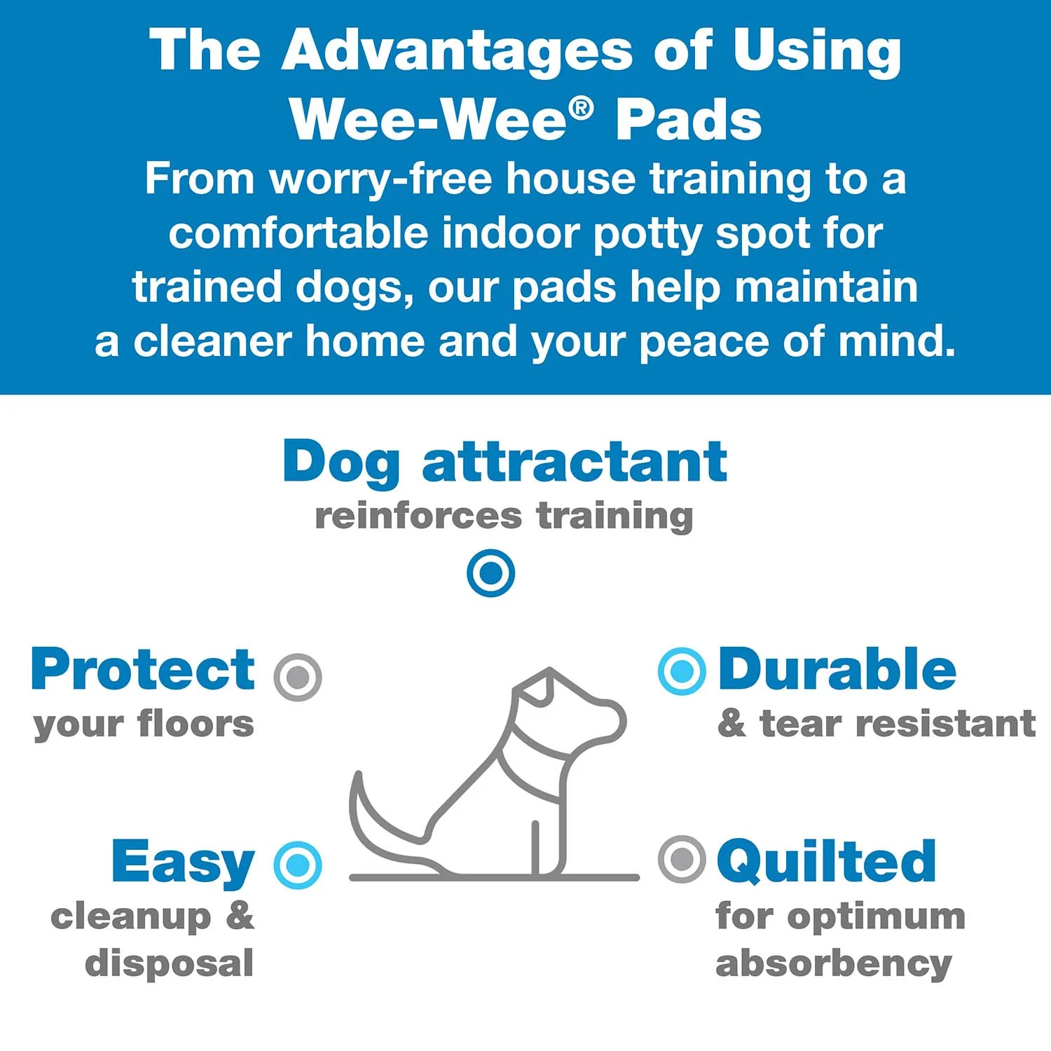 Wee-Wee Silicone Dog Housebreaking Pad Holder, 22" x 23" - Image 7