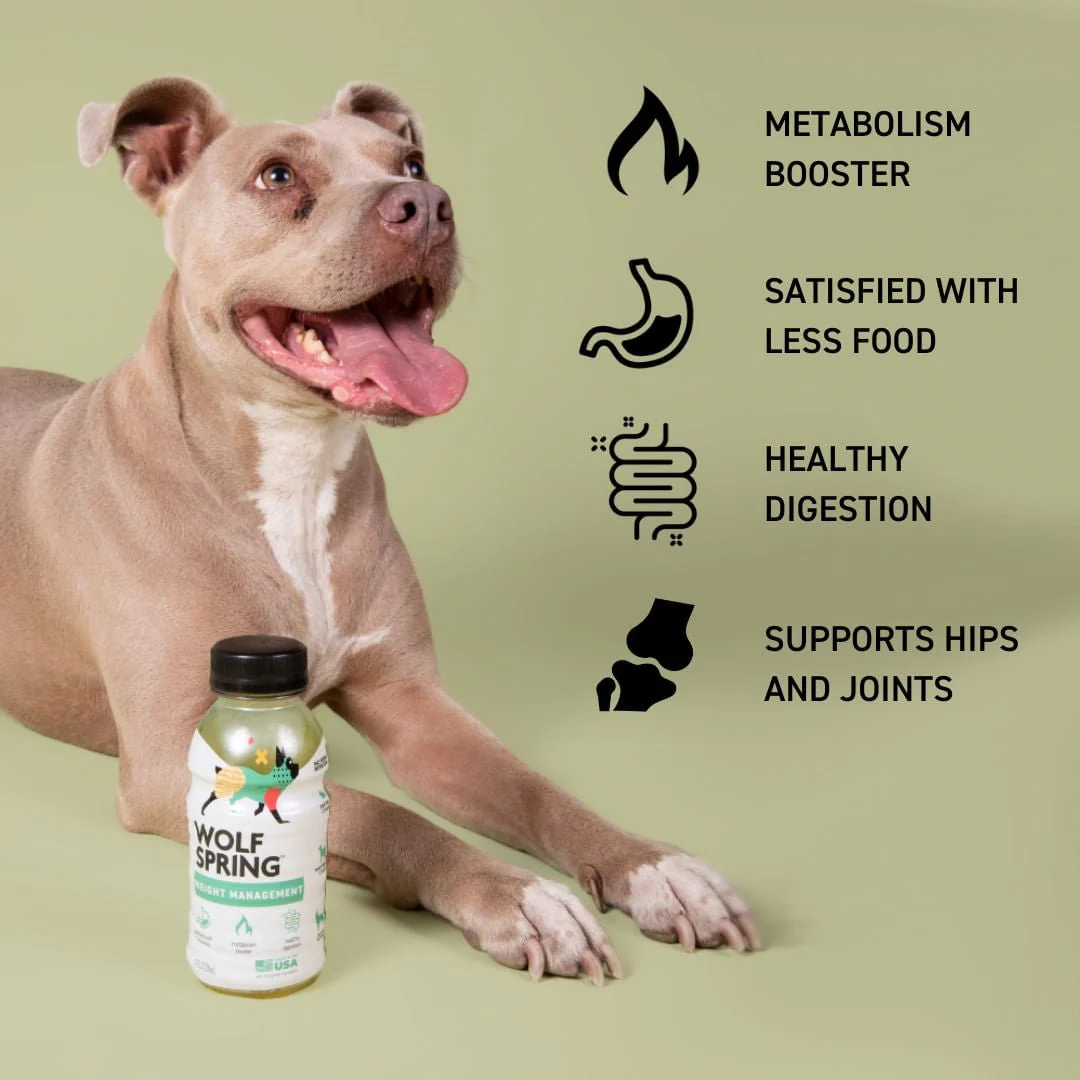 Weight Management Food Topper for Dogs - Image 3