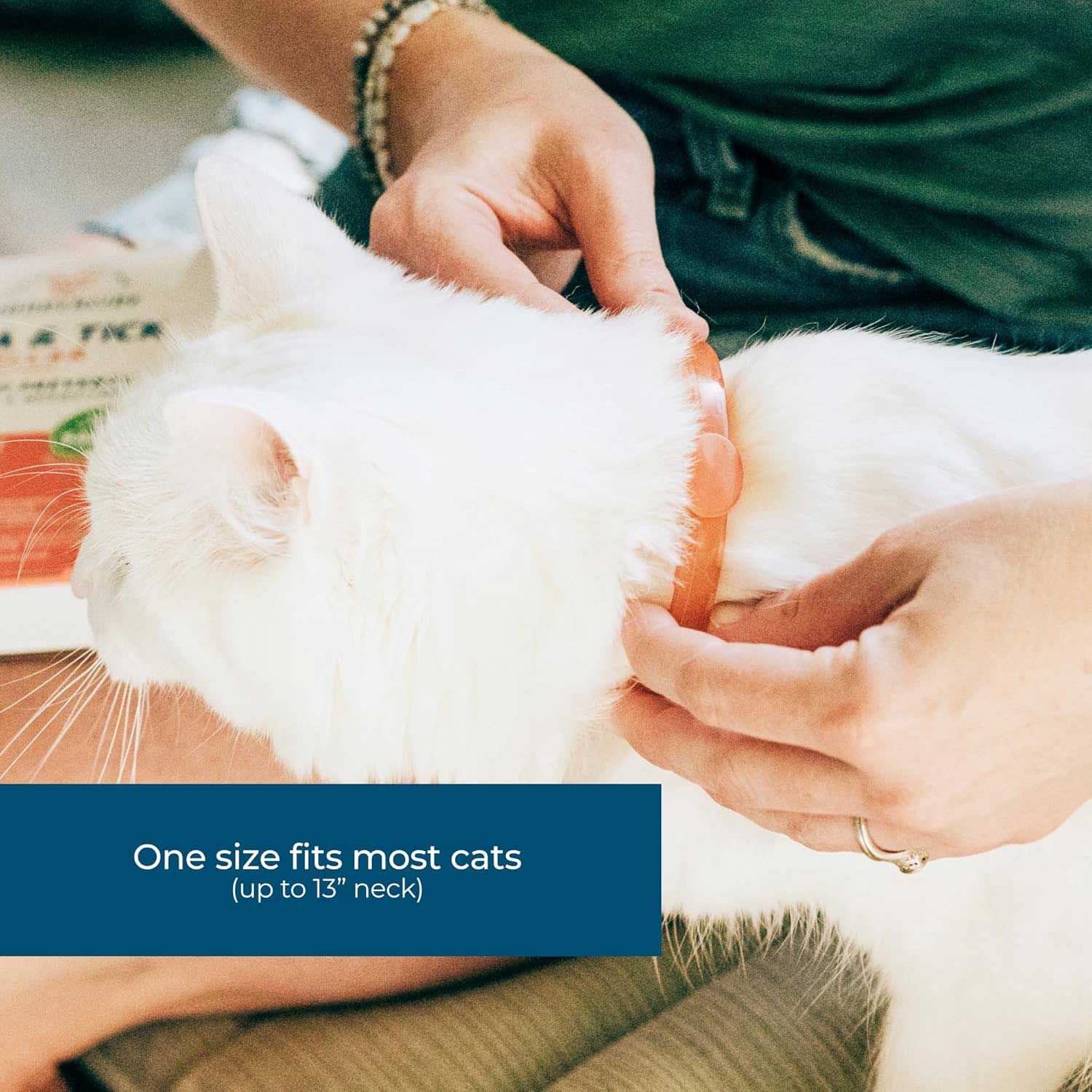 Wondercide Flea & Tick Collar for Cats, Peppermint - Image 3