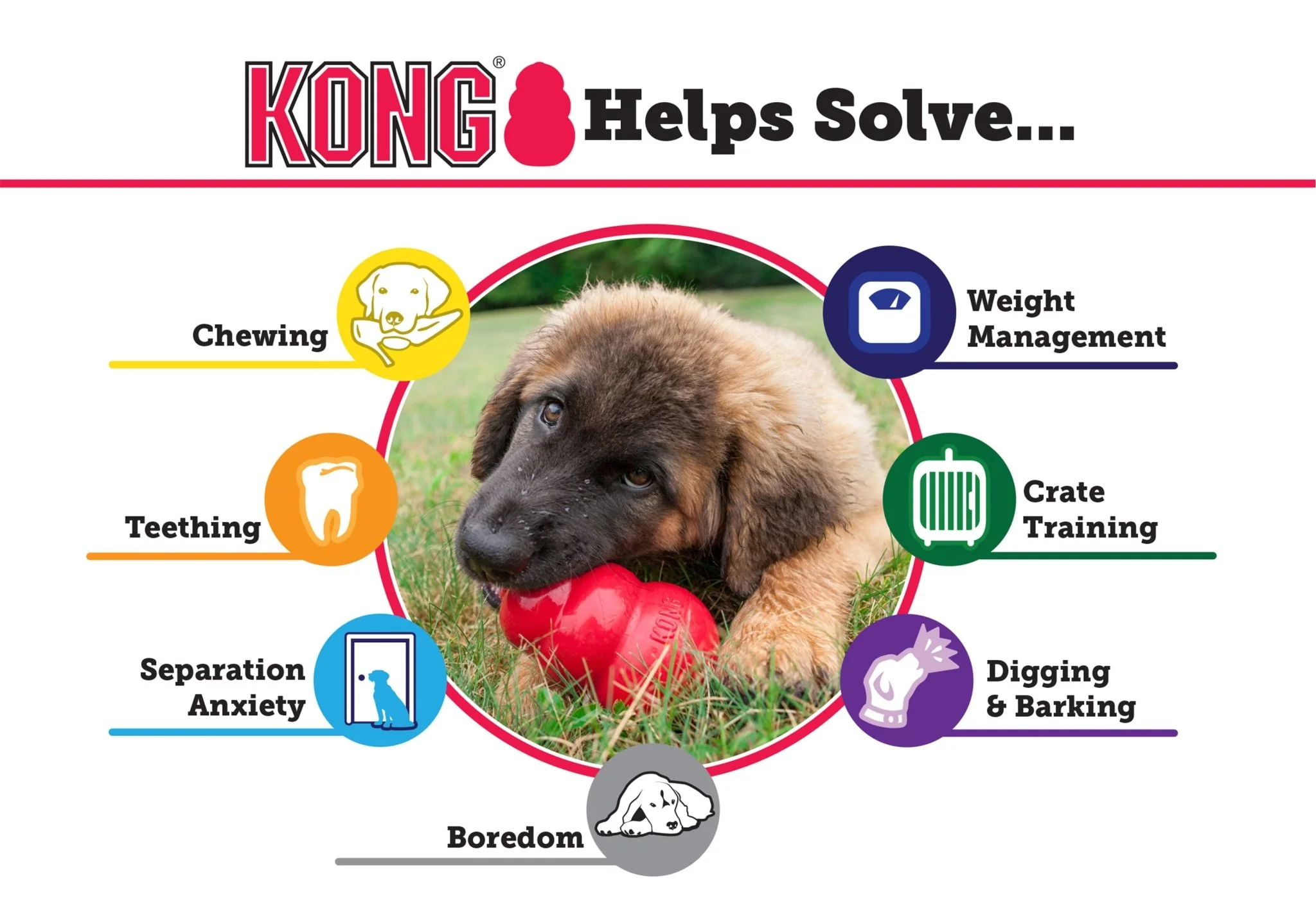 Puppy KONG Treat-Stuffing Chew Dog Toy - Image 2