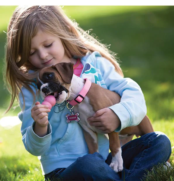 Puppy KONG Treat-Stuffing Chew Dog Toy - Image 5
