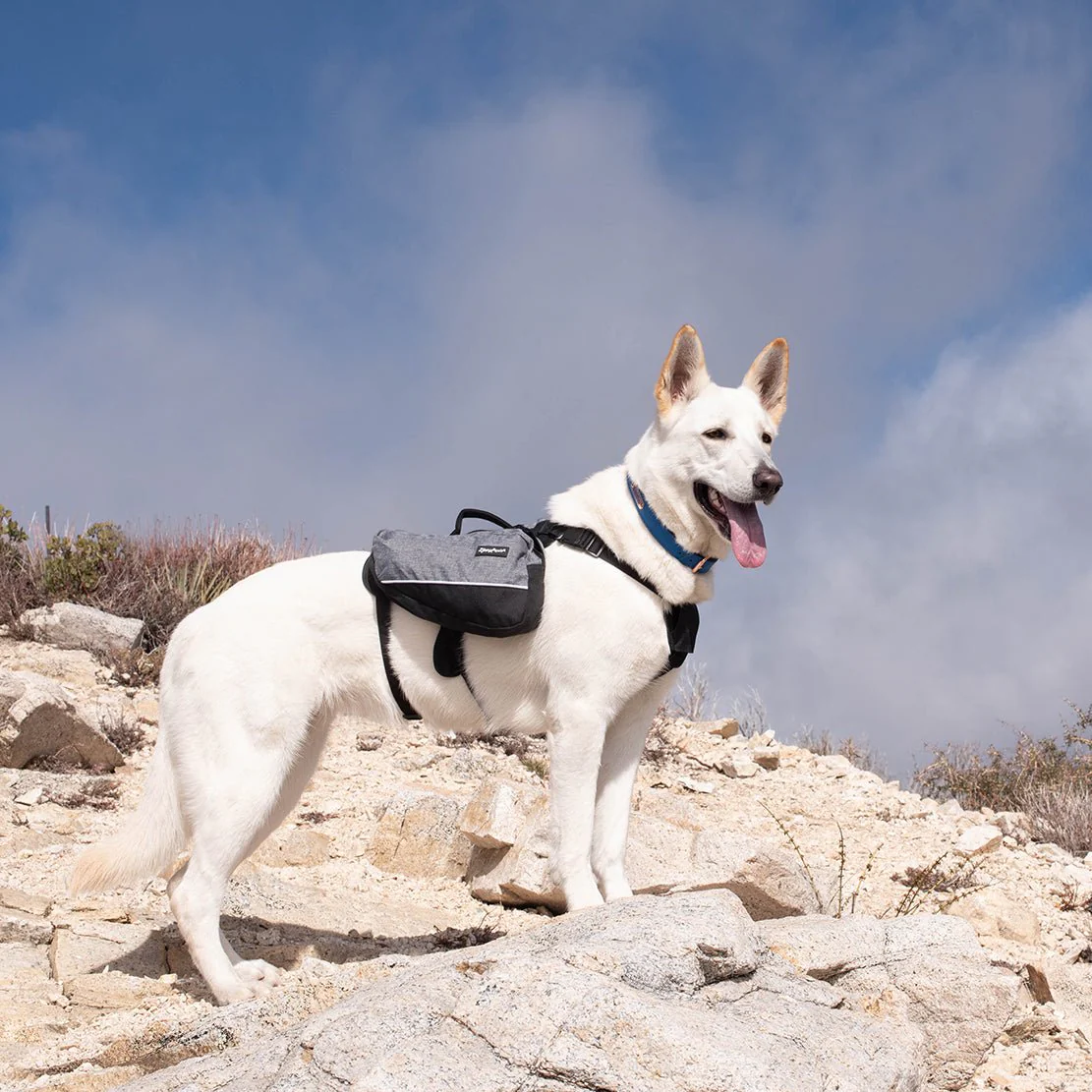 Zippy Paws Lightweight Adventure Backpack, Graphite - Image 3